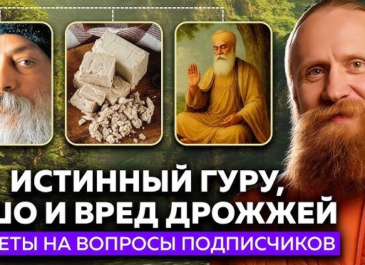 Почему гуру отношений учат строить что угодно, но не отношения