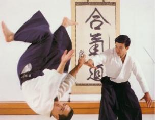 Bâtiment métallique Aikibudo