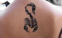 Que signifie un tatouage - un scorpion sur l'épaule