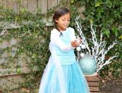 فساتين المجمدة Elsa Frozen Dress