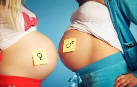 Quand le ventre de femme enceinte commence-t-il à grossir ?