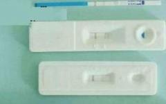 Tehotenské testy Evitest Plus – „Tehotenský test Evitest Plus nepotvrdzuje tehotenstvo horšie ako krvný test na hCG