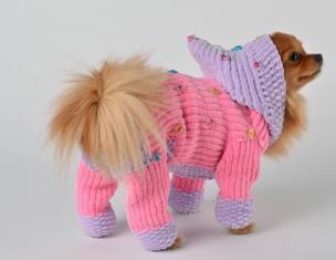 Pletené oblečenie pre psov (vzory a vzory pletenia)