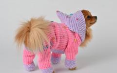Pletené oblečenie pre psov (vzory a vzory pletenia)
