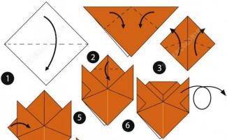 Origami vzor tigra pre staršie deti