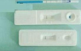 Tests de grossesse Evitest Plus - « Le test de grossesse Evitest Plus ne confirme pas une grossesse pire qu'un test sanguin pour l'hCG