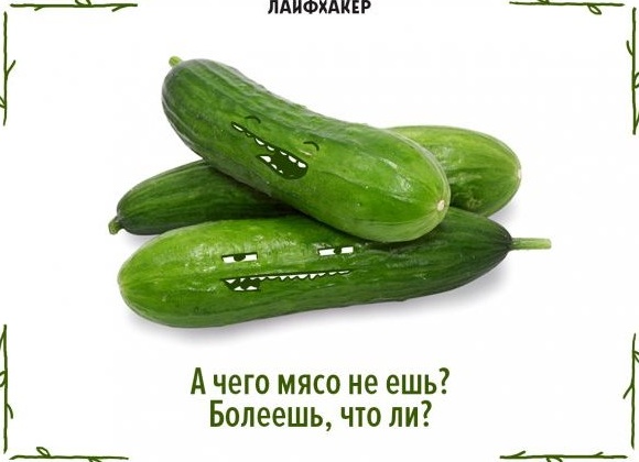 14 фраз, которые нельзя говорить веганам