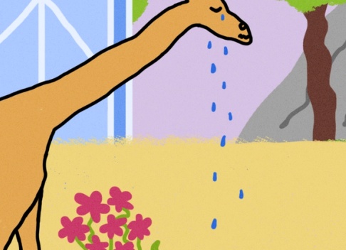 Что делать, если у вас с любимым человеком разные взгляды на жизнь