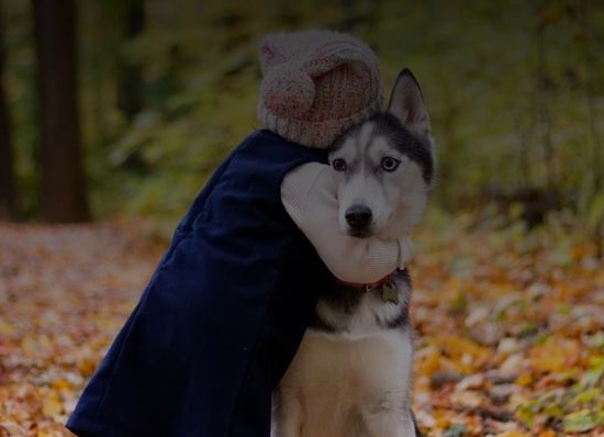 5 фраз, которые помогут поддержать близких в тяжёлые времена